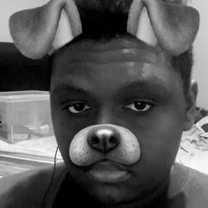 Meet your Posher, Jashari